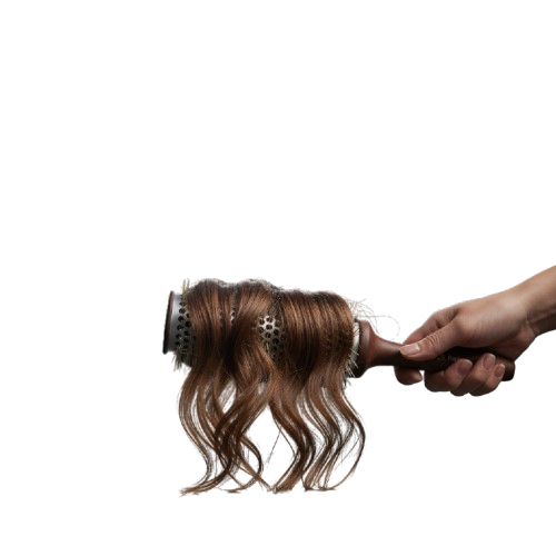 Y.S. Park G4 (68mm) Round Brush