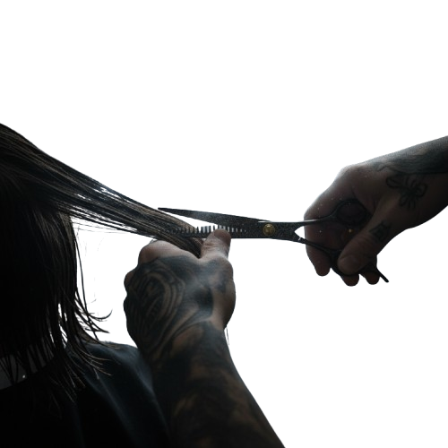 Kamisori Diablo II Thinning Shears